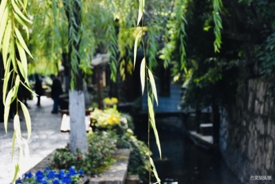 丽江古城景区招募志愿者，等你来！