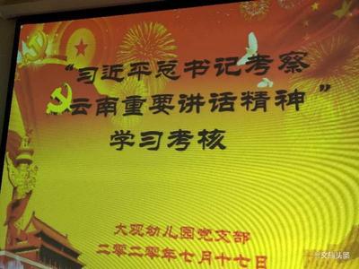 云南省机关事务管理局大观幼儿园党支部开展学习“习近平总书记考察云南重要讲话精神”活动