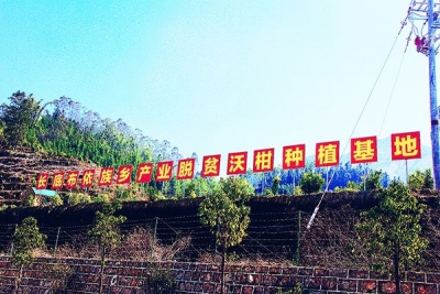 走向我们的小康生活丨长底布依族乡：“三个一批”奔小康