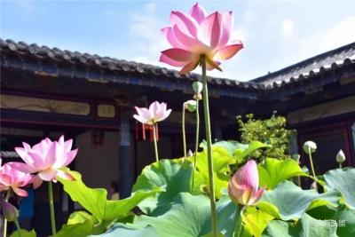 跨省团队游恢复，红河州景区安排好了！