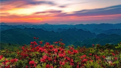 太美太震撼！云南建设以国家公园为主体的自然保护地体系