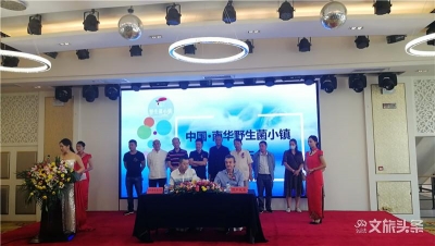 云南南华将打造全国最大野生菌生产加工基地 多项优惠政策邀请昆明商户入驻
