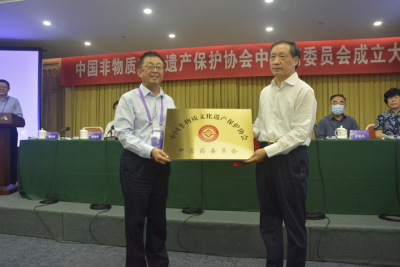 中国非遗保护协会中医药委员会成立