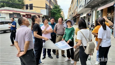 石林彝族自治县人大常委会视察“美丽县城”建设工作