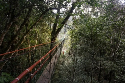 高考结束，那就一起去大围山旅行吧