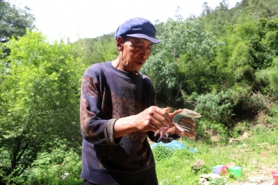 丽江乡村丨依托天然资源，拉巴支村村民脱贫致富有“蜜诀”！