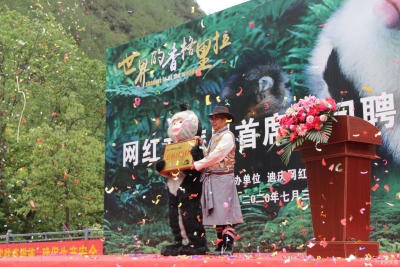 迪庆萌新IP诞生 滇金丝猴成为迪庆网红文旅局“首席顾问”