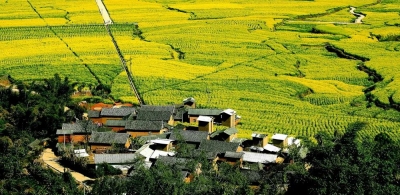打破云南旅游格局：黑马临沧的“出头天”和引爆点