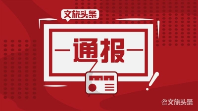 四川省机场集团有限公司原副总经理李灵翔被双开