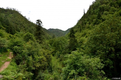 丽江乡村丨依托天然资源，拉巴支村村民脱贫致富有“蜜诀”！