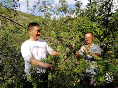 走向我们的小康生活丨鲁甸县光明村：光明村生活更光明