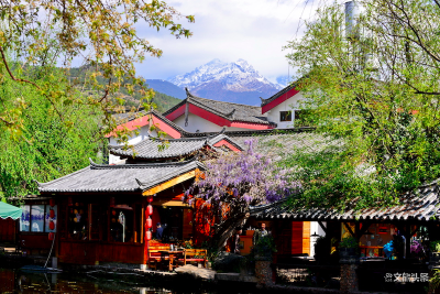 赏风花雪月自在大理 游柔软时光休闲丽江