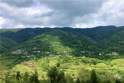 走向我们的小康生活丨美丽家园提升群众幸福感