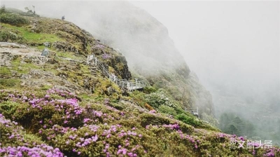 一起爬山吗？轿子山！