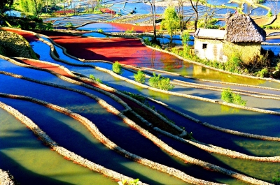 第二批全国乡村旅游重点村正在公示，红河州两个村庄入选！是不是你的家乡？