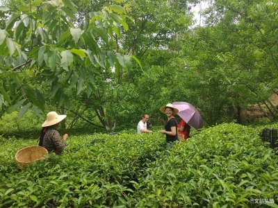 临沧市两个村上榜第二批全国乡村旅游重点村 