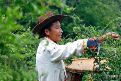 各项指标优秀！诠释岁月静好的她是……