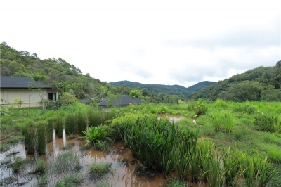 【探秘】北纬22°的林海生态旅居 没有人见过这里的主人