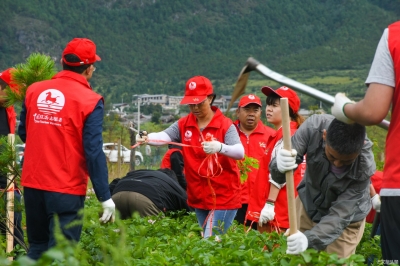 共建美丽丽江！丽江市文旅局参加义务植树活动