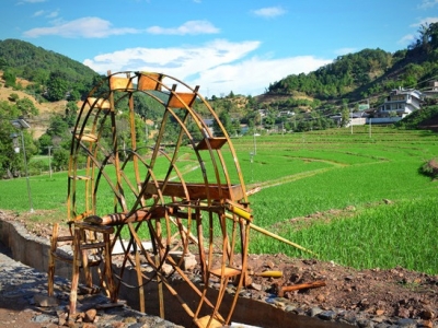 走向我们的小康生活丨景东：践行“两山论” 走上致富路