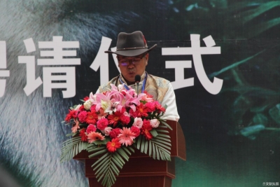 迪庆萌新IP诞生 滇金丝猴成为迪庆网红文旅局“首席顾问”
