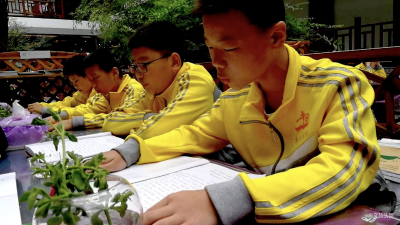 解锁丽江获奖线路新玩法丨小东巴大智慧：研学7日游