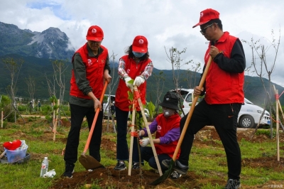 共建美丽丽江！丽江市文旅局参加义务植树活动