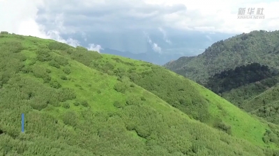 【视频】走进美丽高黎贡山 探访“世界物种基因库”