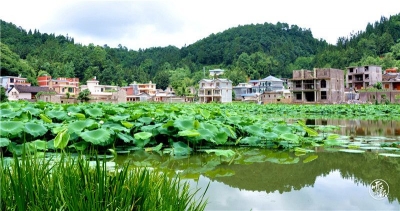 走向我们的小康生活丨富源县十八连山镇补羊村：荷花塘边话变迁