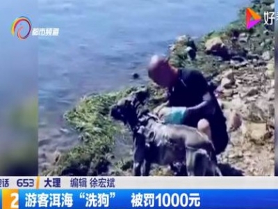 游客洱海“洗狗”被罚，不冤！
