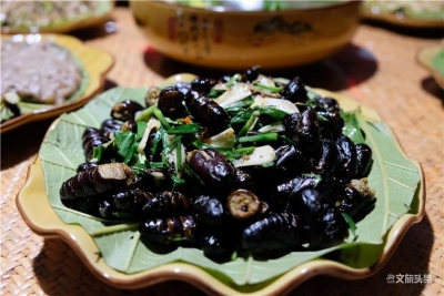 临沧启动“十大名菜”评选活动，快来报名吧！