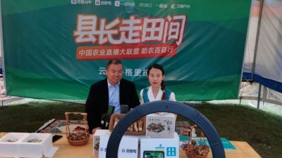 迪庆州香格里拉市副市长化身“主播” 为松茸代言