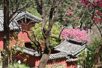 丽江“旅游惠民消费券”拍了拍你！快来领！