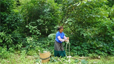 【非遗】藏在澜沧大山深处的古法造纸工艺