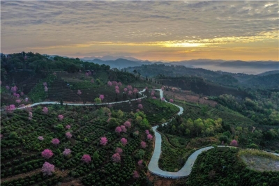 又到暑假黄金档 今年普洱旅游市场有何不同？