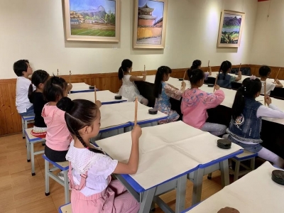 丽江市文化馆丰富孩子暑期生活，公益性舞蹈班、书法班开班！
