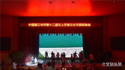 2020丽江华坪云上芒果文化节颁奖晚会落幕
