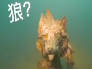 抚仙湖潜水意外发现湖底神秘古物？更神秘的是...