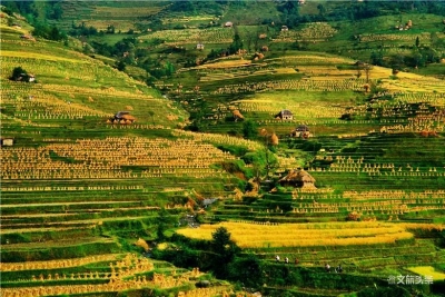 果断收藏！红河这个世外桃源值得“拍一拍”