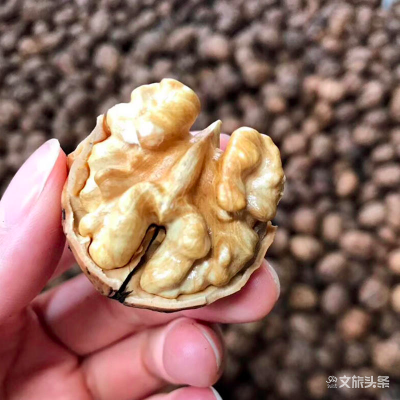 “核”你一起｜这款高原山核桃，让人上头！