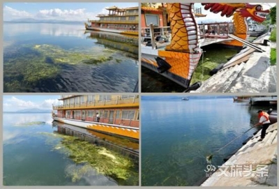 清理水草  守护洱海美丽风景