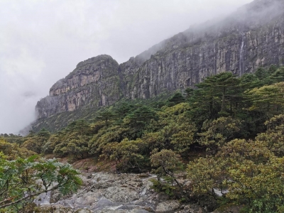 轿子雪山雨中即景  又见云里雾里的模样！