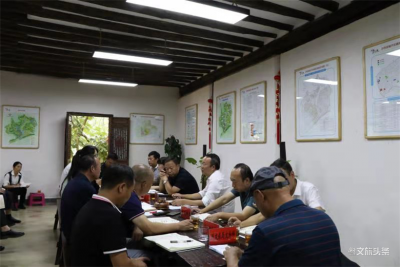 红河州政府调研组到泸西城子古村调研