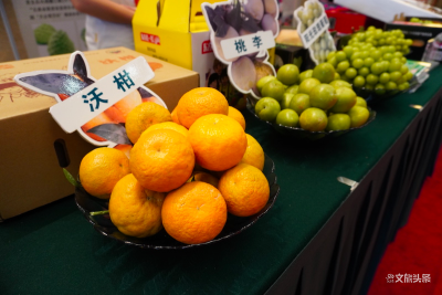 楚雄：以“不破楼兰终不还”、不摘贫帽誓不休的决心与意志奋力攻坚战取得胜利