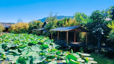 天气转晴，水位下降，大理西湖景区于8月26日恢复营业！