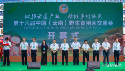 易门县成功举办第十六届中国（云南）野生食用菌交易会 