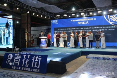 玉溪青花街项目推进暨招商推介会举行