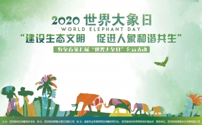  云南世界大象日 走进我国亚洲象种源繁育及救助中心