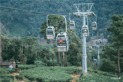 喜讯！普洱市茶马古道旅游景区正式成为国家4A旅游景区  