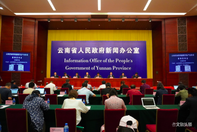 “两型三化”“三张牌” 助力云南加快构建现代化产业体系